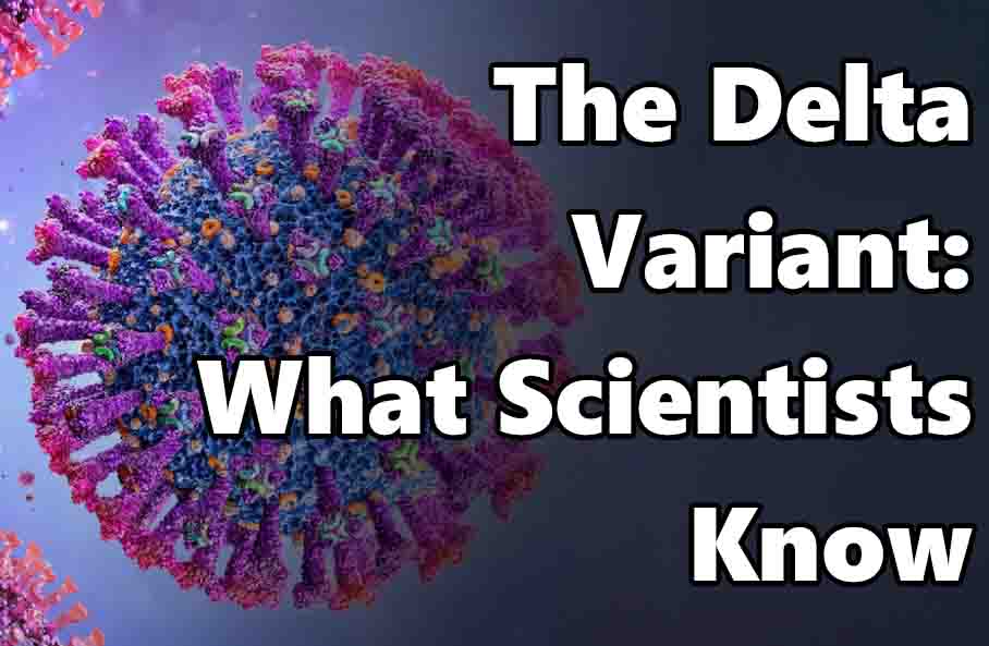 The Delta Variant: What Scientists Know