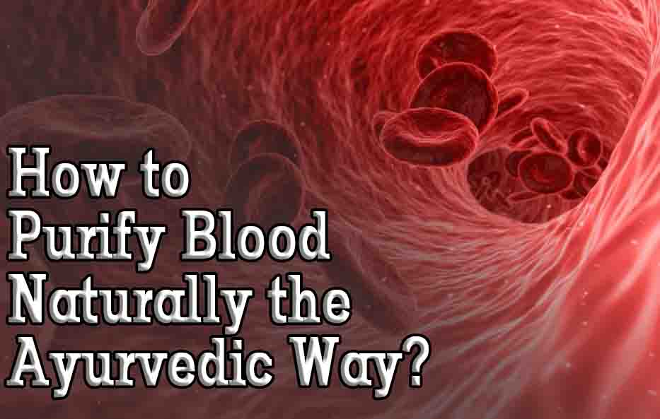 How to Purify Blood Naturally the Ayurvedic Way?